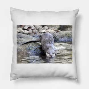 Otter Pillow