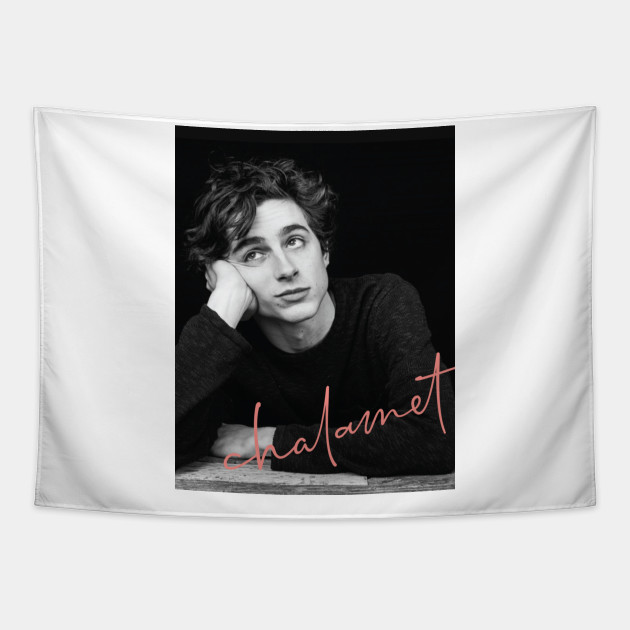 Timothee chalamet tapestry hotsell