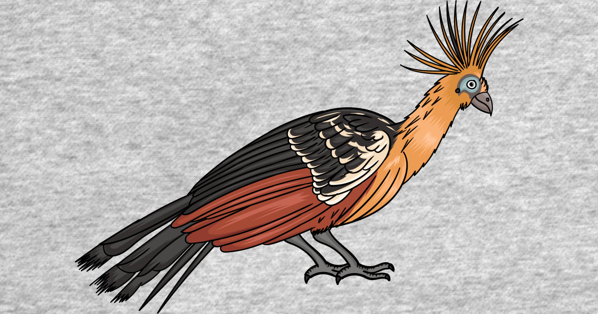 Hoatzin bird cartoon illustration. - Hoatzin Bird Cartoon Illustration ...