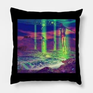 Ascendance or Abduction Pillow