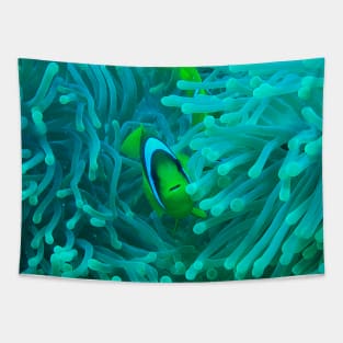 Nemo fish Tapestry