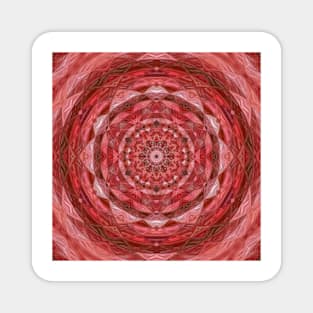 floral fantasy pattern and kaleidoscopic designs in shades of pink and red Magnet