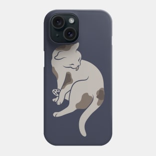 Keep it clean – this is all the cat mean (pose 2) Phone Case