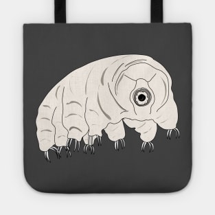 Biodiversity : the tardigrade Tote