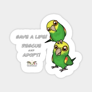 Save a Life!  Rescue & Adopt ~ Double Yellow-Headed Amazon Magnet