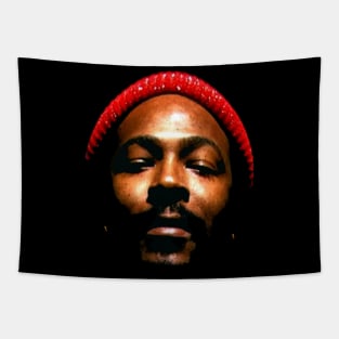 MARVIN GAYE Tapestry