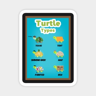 Turtle types version 1/2 Magnet