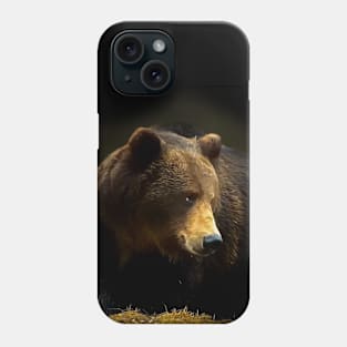 Brown bear Phone Case