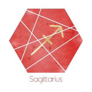 Sagittarius zodiac sign T-Shirt