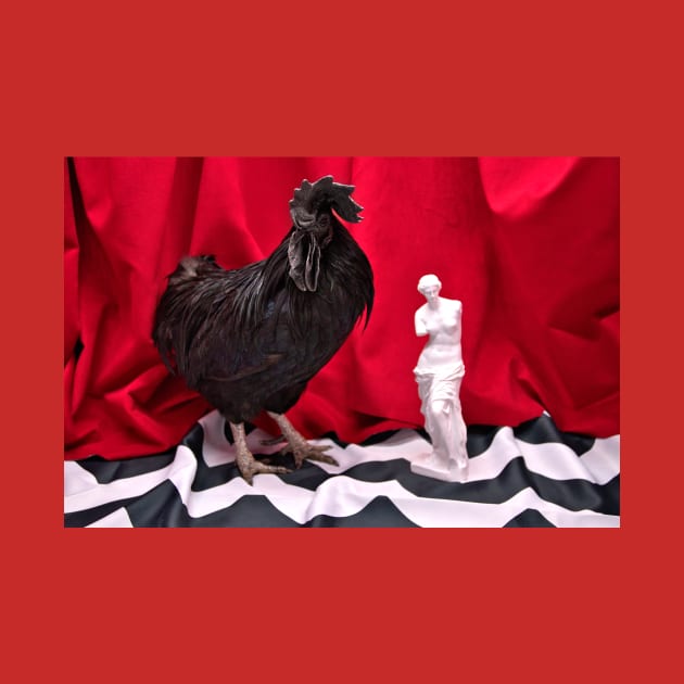 Rooster in the red room by danieltuttle