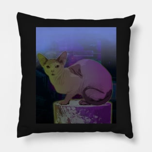 A sphynx cat under the night lights Pillow