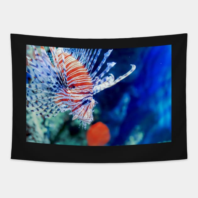 Red lionfish or zebrafish underwater Tapestry by lena-maximova