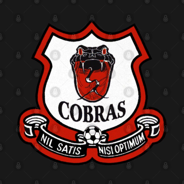 Classic Cleveland Cobras Soccer 1972 by LocalZonly