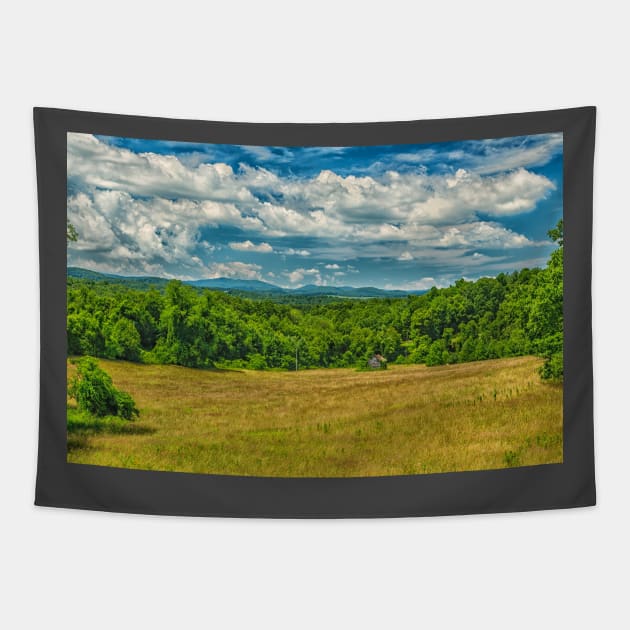 Virginia Summer Meadow Tapestry by Gestalt Imagery