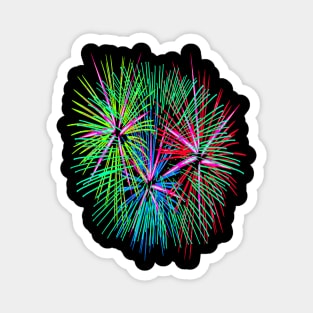 Light Up The Night Sky Colorful Fireworks Celebrations 4 Magnet