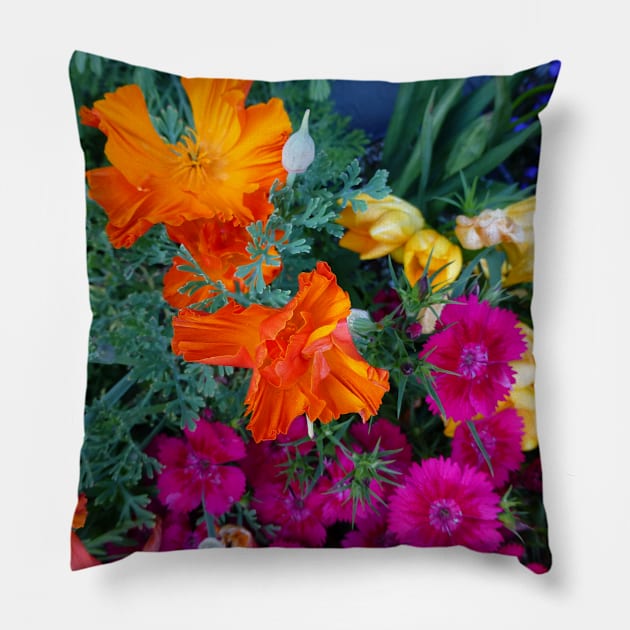 Poppy blast Pillow by AmyKalish