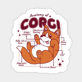 Anatomy of corgi Funny Dog Lovers Memes Quotes Magnet