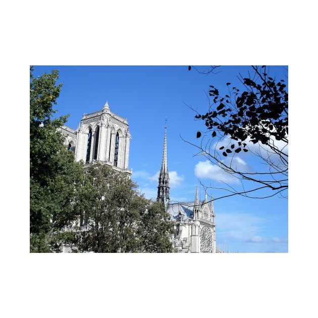 Paris Notre Dame de Paris Cathedral Before the Fire by BlackBeret