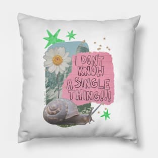 I Don’t Know Pillow