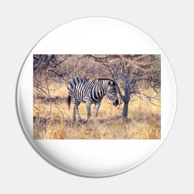 Zebra in the Bush Pin by SafariByMarisa