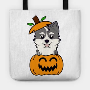 Cute Husky Dog is in a pumpkin Tote