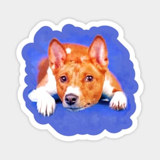 Basenji Magnet