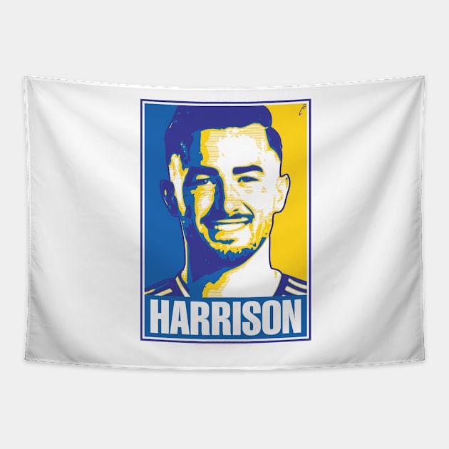 Harrison Tapestry by DAFTFISH