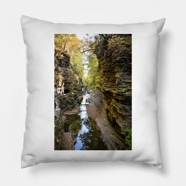 Watkins Glen Gorge, New York Pillow by searchlight