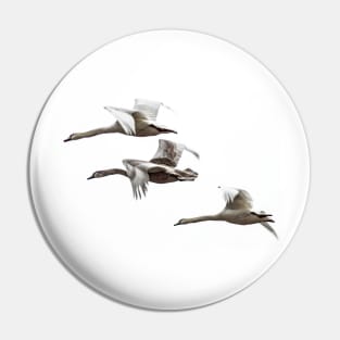 Flying swans on a white background - The dream of freedom! Design by Salogwyn Life Art Pin