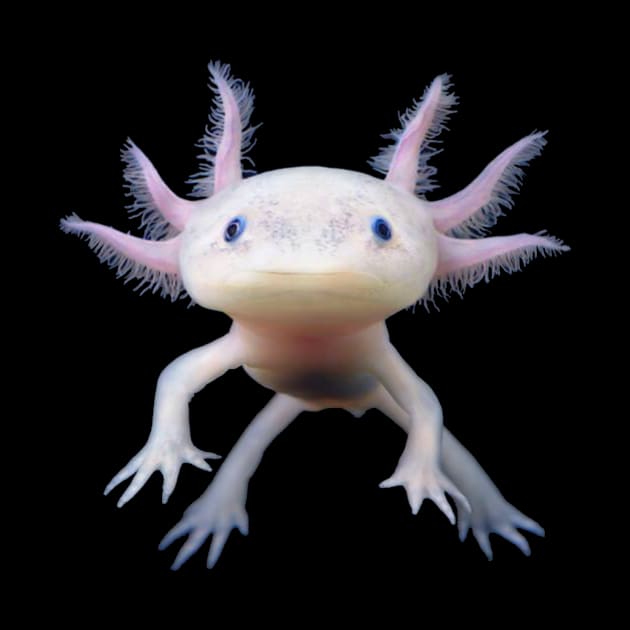 Axolotl by MysticTimeline