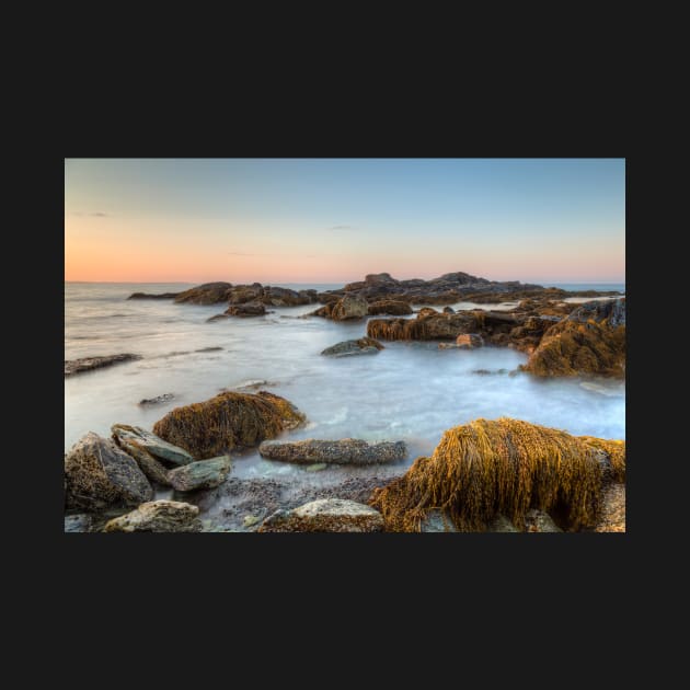 Sunrise Seascape at Sachuest Wildlife Refuge by mcdonojj