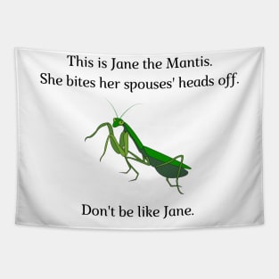 Don't be like Jane! Tapestry