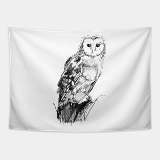 Barn Owl Art Tapestry