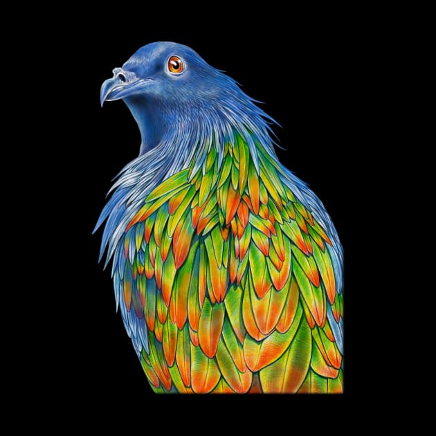 Nicobar Pigeon by Tim Jeffs Art