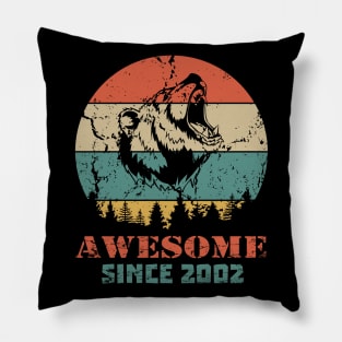 Awesome Since 2002 Year Old School Style Gift Women Men Kid Pillow