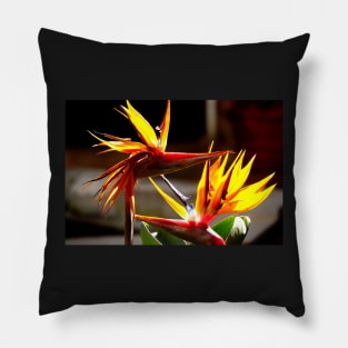 Oiseaux du paradis (Strelitzia Reginae) Fleur du Mexique Pillow