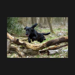 Joyful Black Cocker Spaniel Dog Leaping over a Log T-Shirt