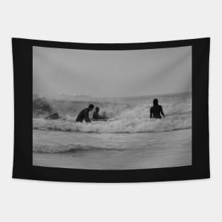 Taking The Plunge Tapestry