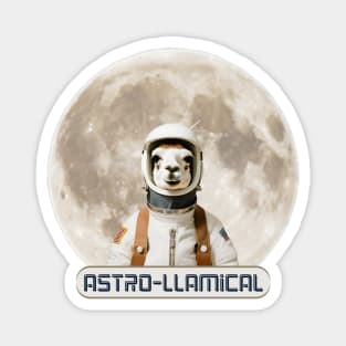 Astro-llamical Magnet