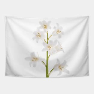 White bluebell Tapestry