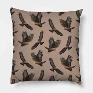 Golden Eagle - Aquila chrysaetos Pillow