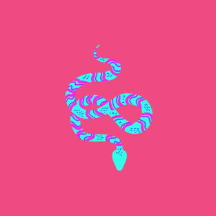 Neon Snakes on Pink T-Shirt