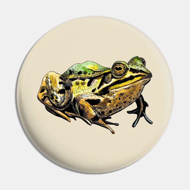 toad Pin by VicaVeresk