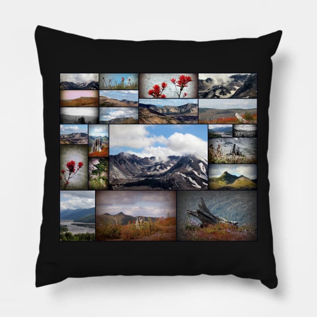 mount saint helens collage Pillow by DlmtleArt