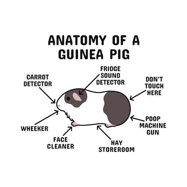 Anatomy of a Guinea Pig: Brown and White by blacklines