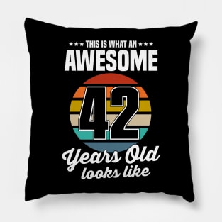 Vintage This Is What An Awesome 42 Years Old Looks Like Pillow