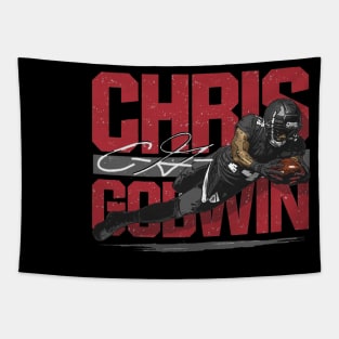 Chris Godwin Tamba Bay Touchdown Tapestry