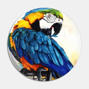 Jinx - Blue Gold Macaw painting Pin