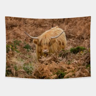 Longhorn on Dartmoor Tapestry