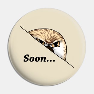 Soon... Pin